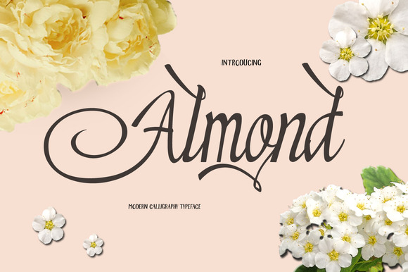 Almond: A Warm, Confident Script for Real Brand Work
