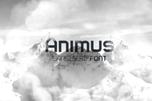 Animus: A Clean, Confident Sans Serif for Small Business Brands