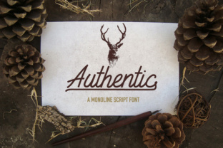 Authentic: A Hand-Crafted Script Font for Thoughtful Editorial Design