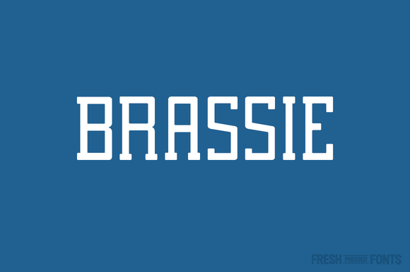 Brassie Family: A Slab Serif Font That Builds Trust & Personality