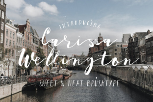 Carissa Wellington: A Handwritten Script Font That Elevates Digital Branding