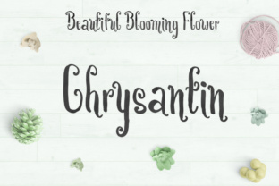 Chrysantin: A Playful Handwritten Font That Fits Real Campaigns