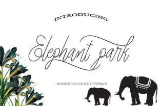 Elephant Park: A Handwritten Script Font That Makes Your Campaign Stand Out