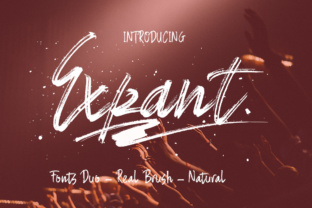 Expant: A Hand-Painted Brush Font That Elevates Digital Branding