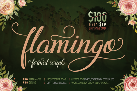 Flamingo: A Script Handwritten Font That Makes Your Campaign Stand Out