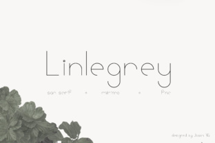 Linlegrey: A Clean Sans Serif for Confident Digital Branding