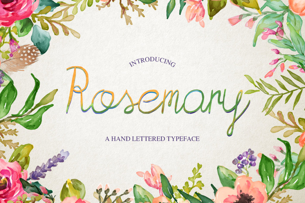 Rosemary Font: A Handwritten Script That Works in Real Campaigns