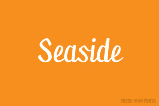 Seaside: A Thoughtful Script for Real Work