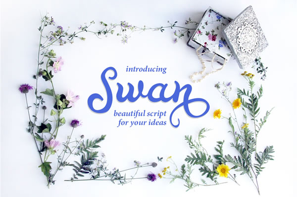 Swan: A Fluid Script Font for Editorial Design