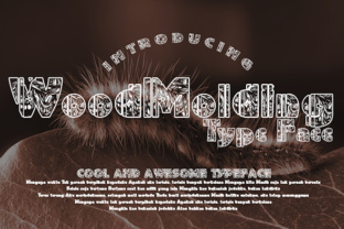 WoodMolding: A Decorative Typeface for Editorial Impact